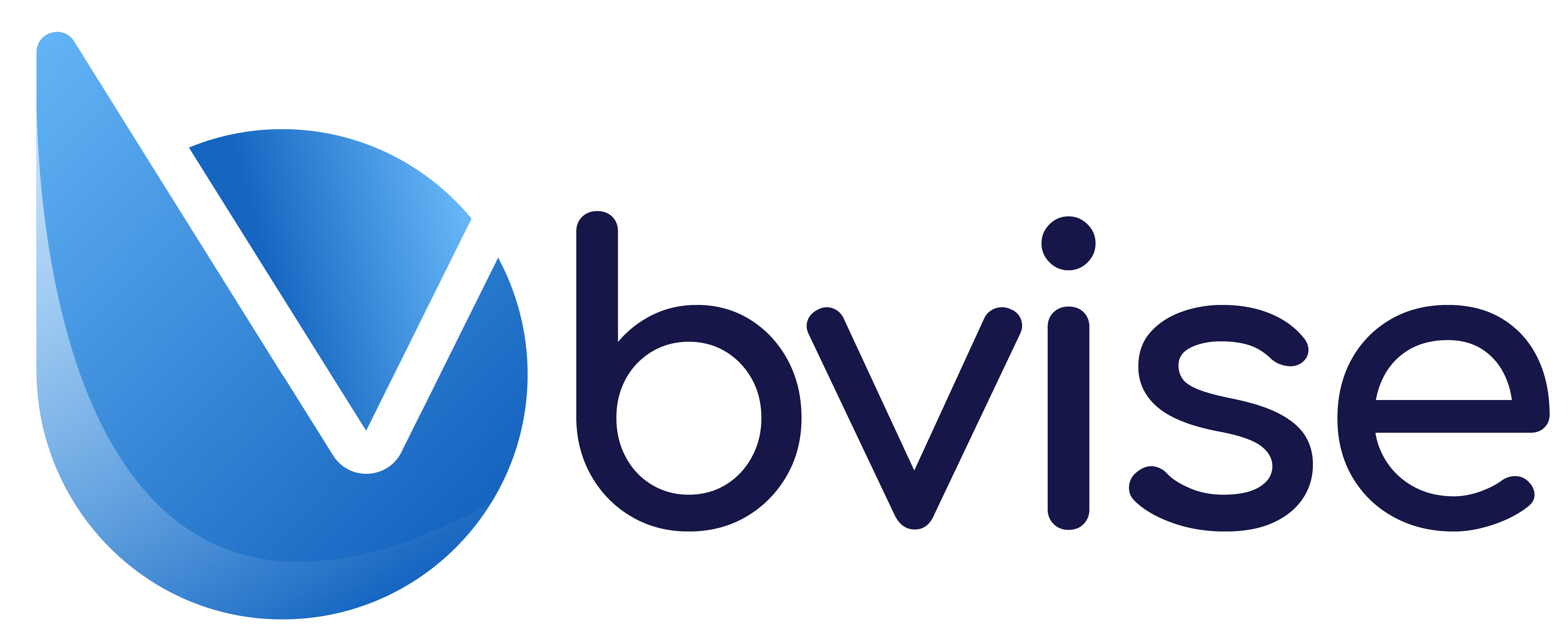 bvise — Logo